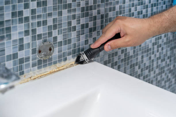 Best Toxic Mold Removal  in Hazardville, CT